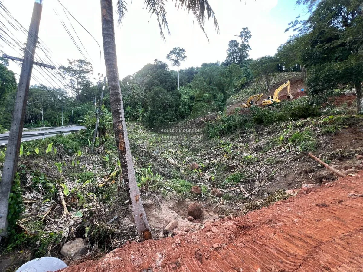 ขายที่ดิน ติดถนนเมน 4018 ใกล้หาดนายทอน 1.6 กม. สาคู ถลาง ภูเก็ต C 4