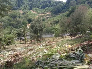 ขายที่ดิน ติดถนนเมน 4018 ใกล้หาดนายทอน 1.6 กม. สาคู ถลาง ภูเก็ต CX-111471