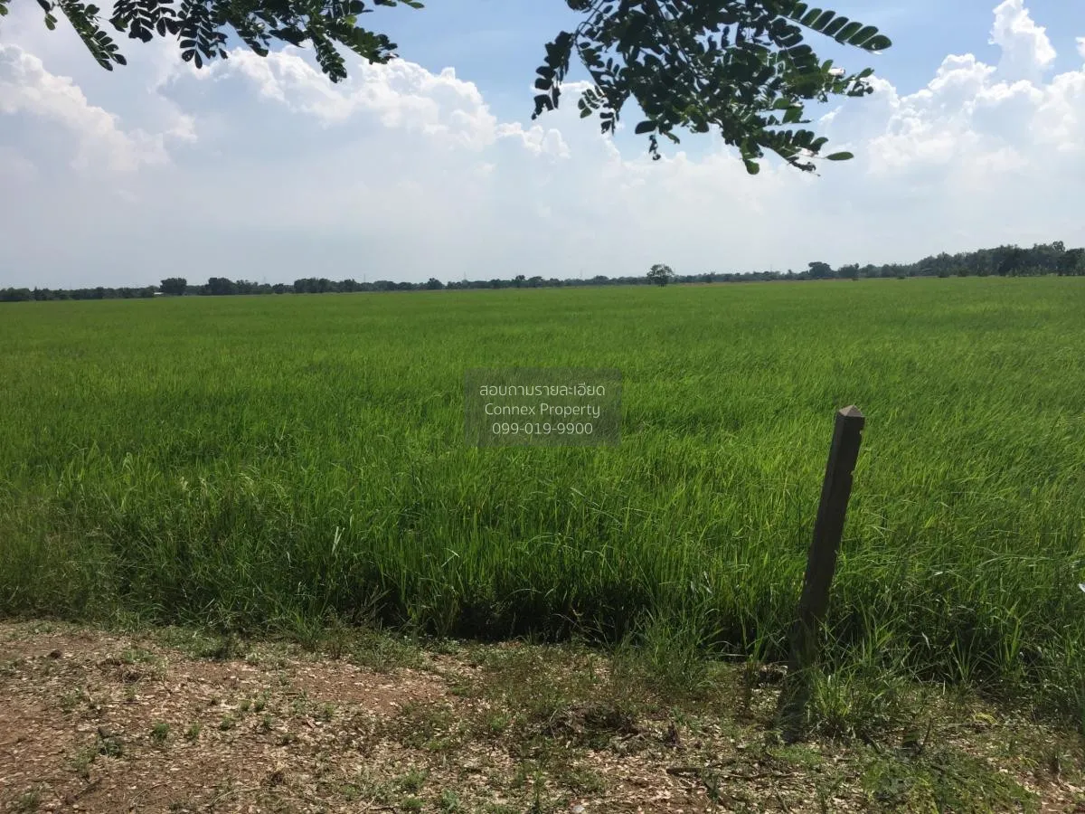 For Sale land  61 rai of Saraburi , Nong Khaem , Nong Khae , Sara 1