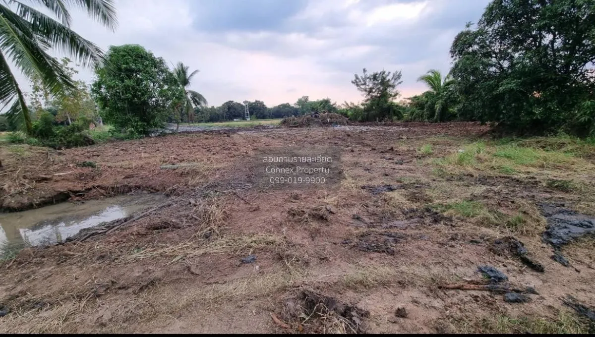 For Sale land  61 rai of Saraburi , Nong Khaem , Nong Khae , Sara 3