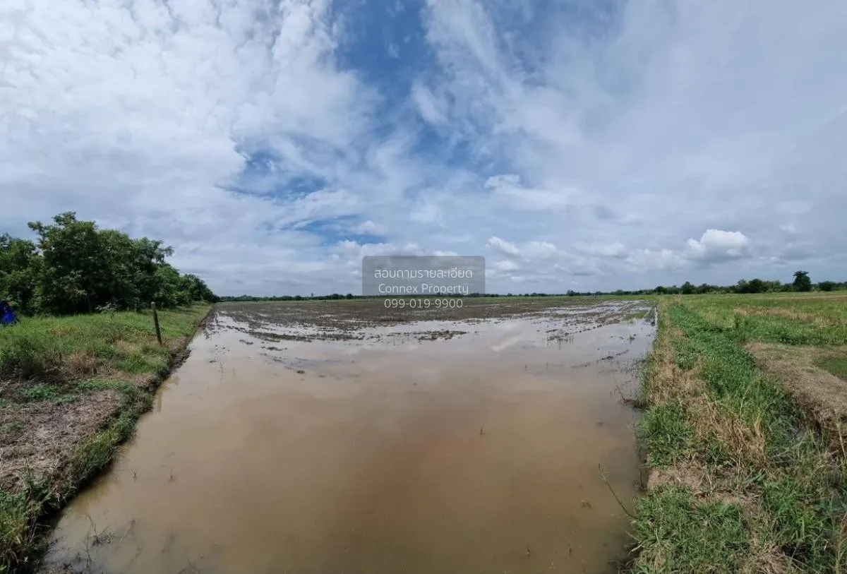 For Sale land  61 rai of Saraburi , Nong Khaem , Nong Khae , Sara 4