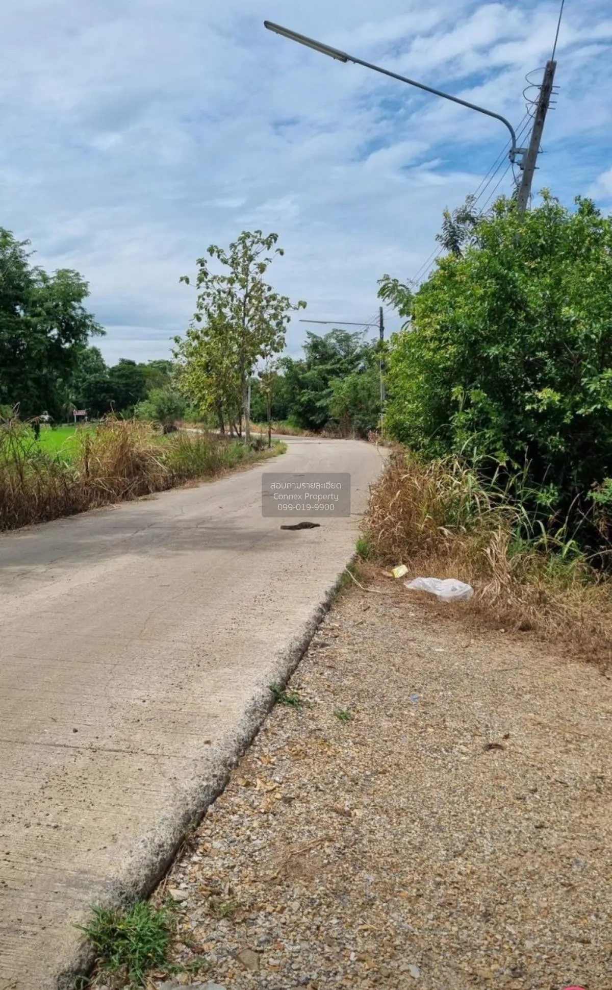 For Sale land  61 rai of Saraburi , Nong Khaem , Nong Khae , Sara