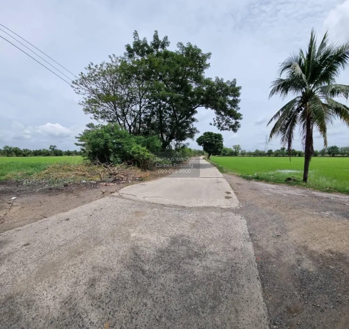 For Sale land  61 rai of Saraburi , Nong Khaem , Nong Khae , Sara