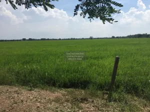 For Sale land  61 rai of Saraburi , Nong Khaem , Nong Khae , Saraburi , CX-111502