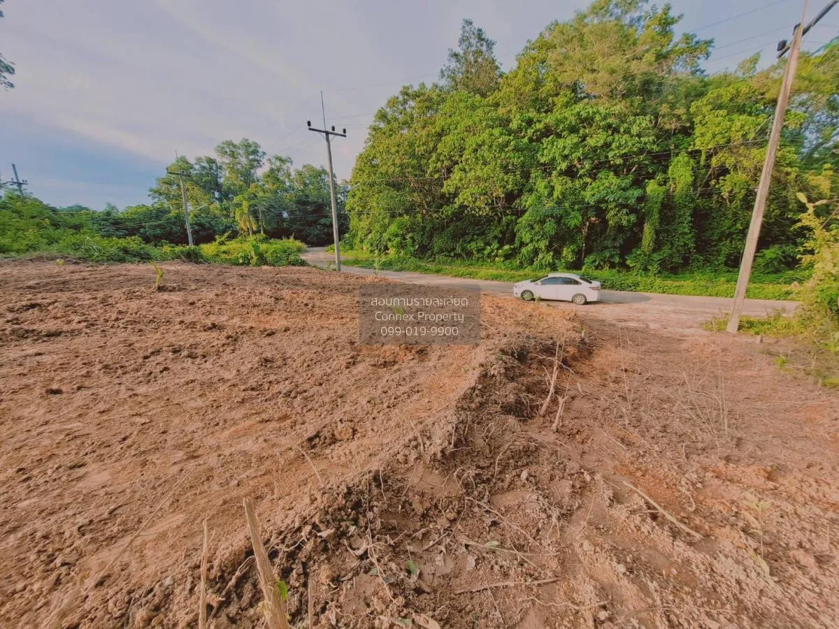 ขายขายที่ดินเปล่าเกาะสิเหร่ รัษฎา เมืองภูเก็ต ภูเก็ต CX-111623 3