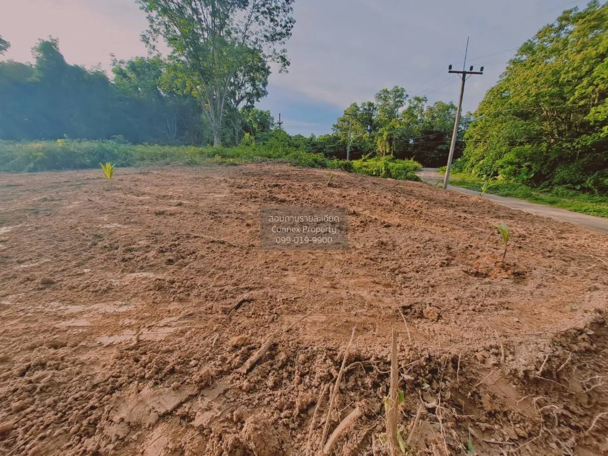 ขายขายที่ดินเปล่าเกาะสิเหร่ รัษฎา เมืองภูเก็ต ภูเก็ต CX-111623 4