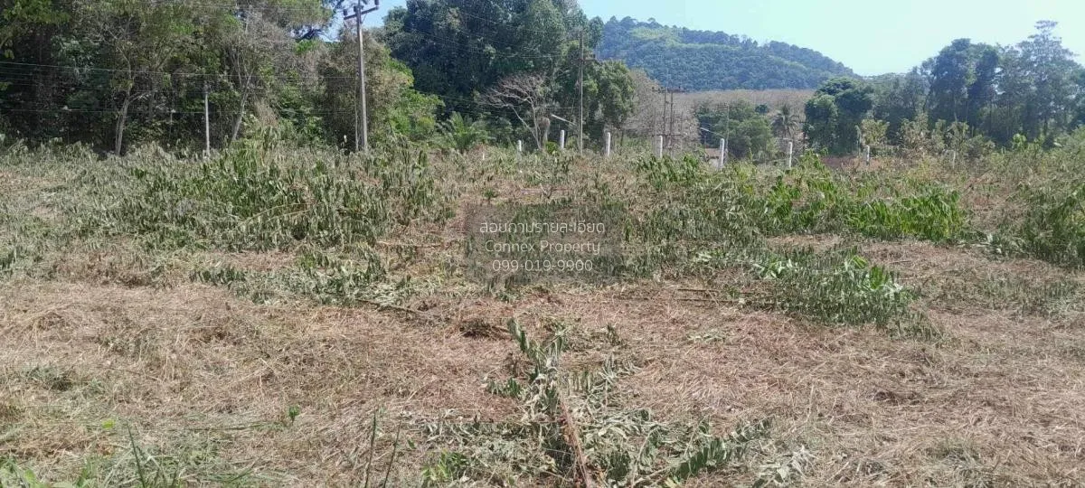 ขายขายที่ดินเปล่าเกาะสิเหร่ รัษฎา เมืองภูเก็ต ภูเก็ต CX-111623