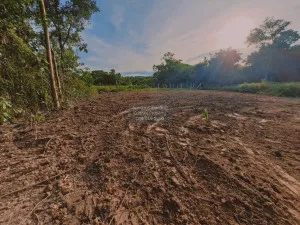 ขายขายที่ดินเปล่าเกาะสิเหร่ รัษฎา เมืองภูเก็ต ภูเก็ต CX-111623