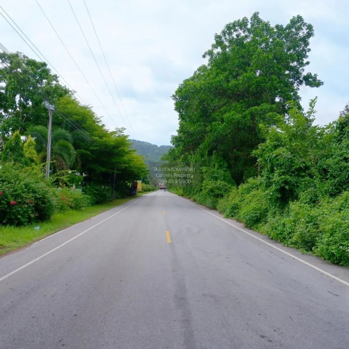 ขายสวนผลไม้เมืองจันท์ เนื้อที่  6 ไร่ 39 ตรว จันทบุรี - สระแก้ว ม