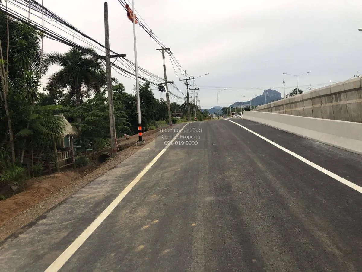 ขายที่ดินพร้อมสิ่งปลูกสร้าง 14 ไร่ สุราษฎร์ธานี พังกาญจน์ เมืองสุ 3