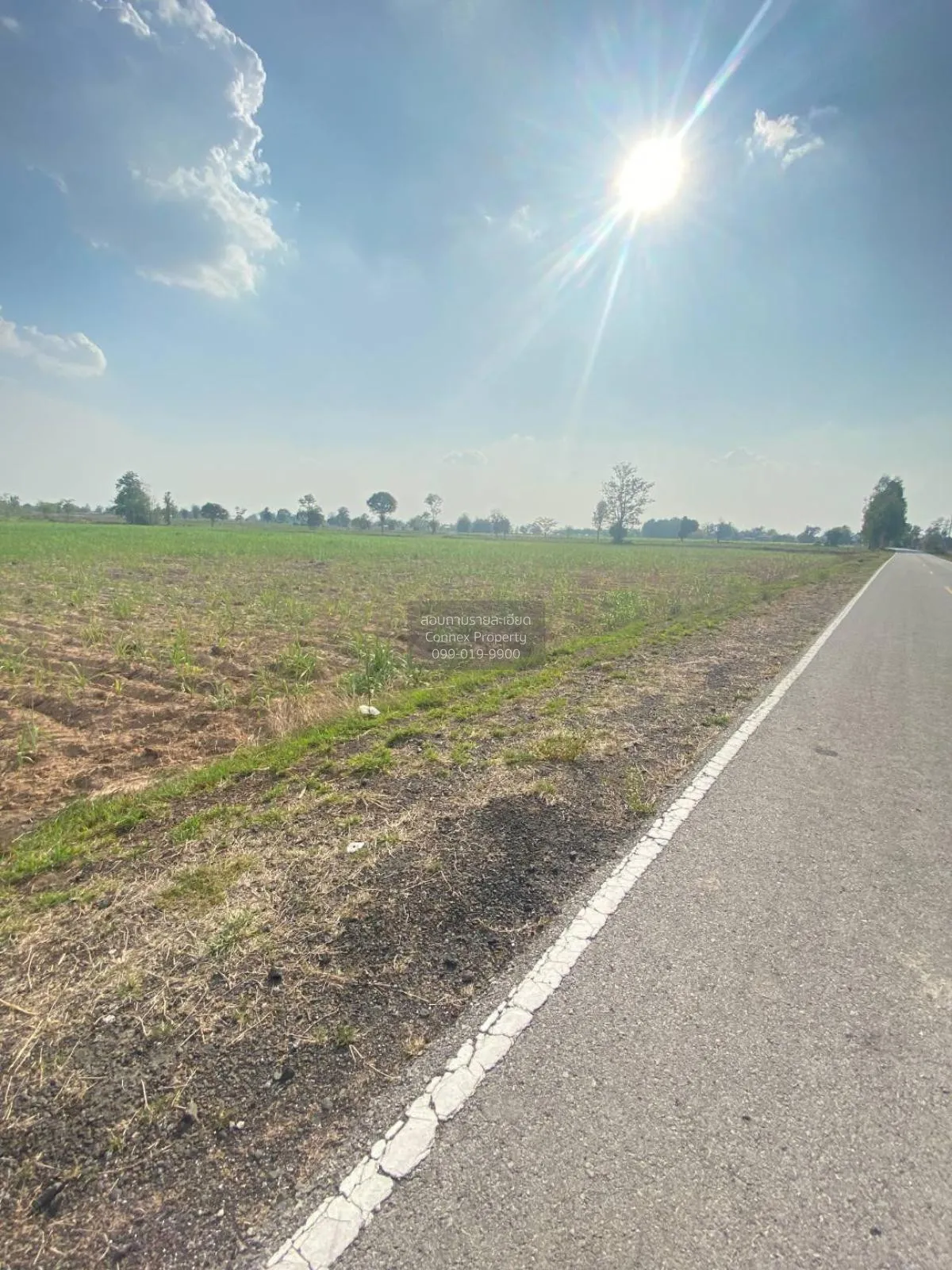 For Sale Land 19 rai , wide frontage , Pho Thong , Phon Thong , R 1