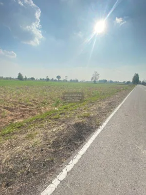 For Sale Land 19 rai , wide frontage , Pho Thong , Phon Thong , Roi Et , CX-111793