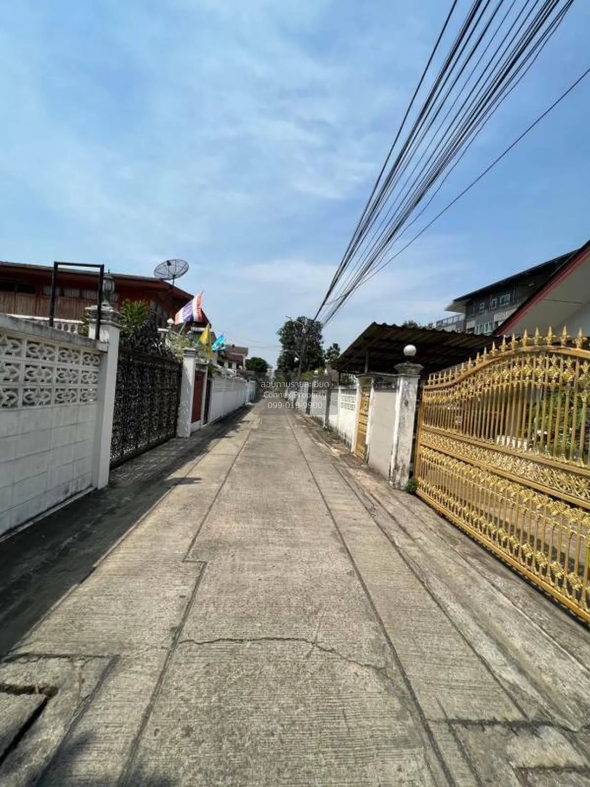 ขายที่ดินเปล่า บางศรีเมือง 49 นนทบุรี บางศรีเมือง เมืองนนทบุรี นน