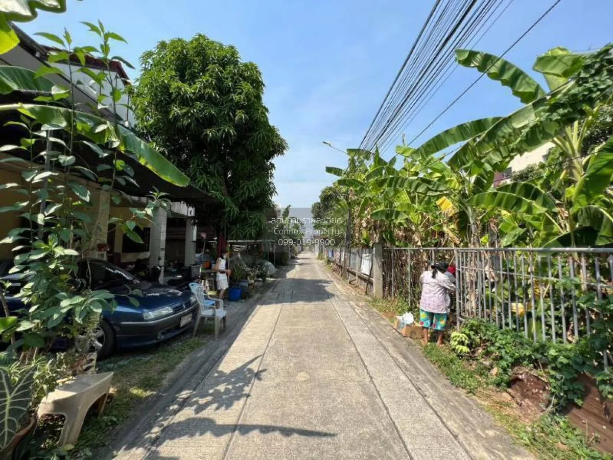 ขายที่ดินเปล่า บางศรีเมือง 49 นนทบุรี บางศรีเมือง เมืองนนทบุรี นน 2