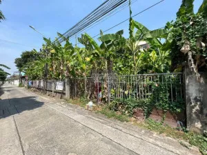 ขายที่ดินเปล่า บางศรีเมือง 49 นนทบุรี บางศรีเมือง เมืองนนทบุรี นนทบุรี CX-111982