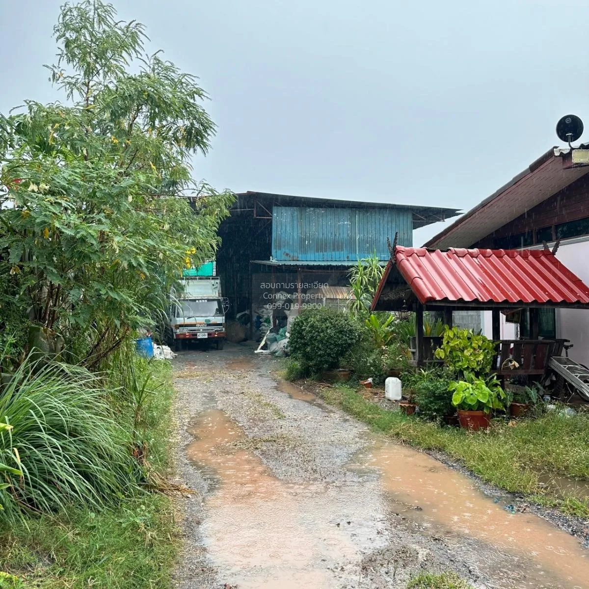 Land with buildings CX-112233 3