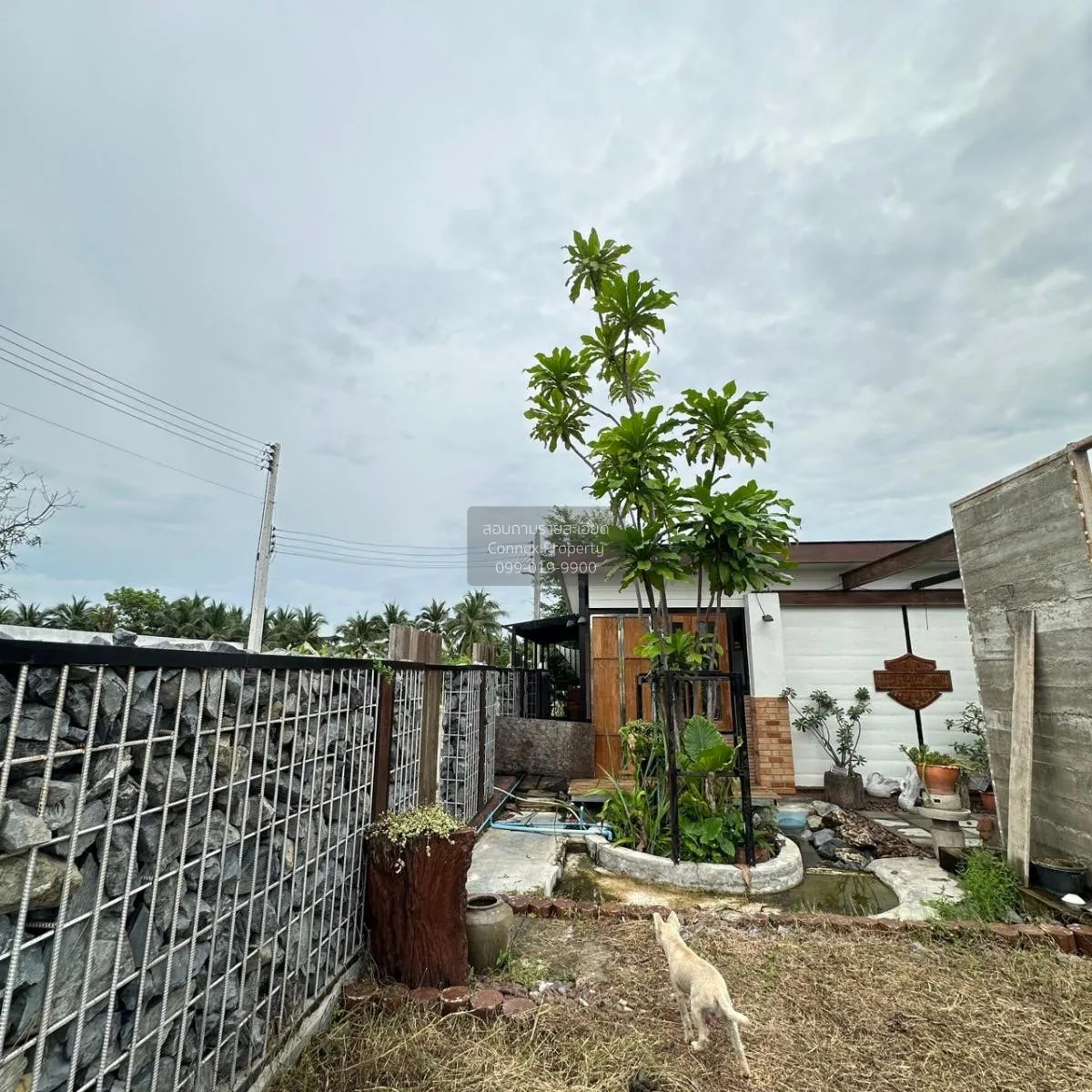 ขายที่ดินพร้อมสิ่งปลูกสร้าง บ้านเกาะ เมืองสมุทรสาคร สมุทรสาคร CX-