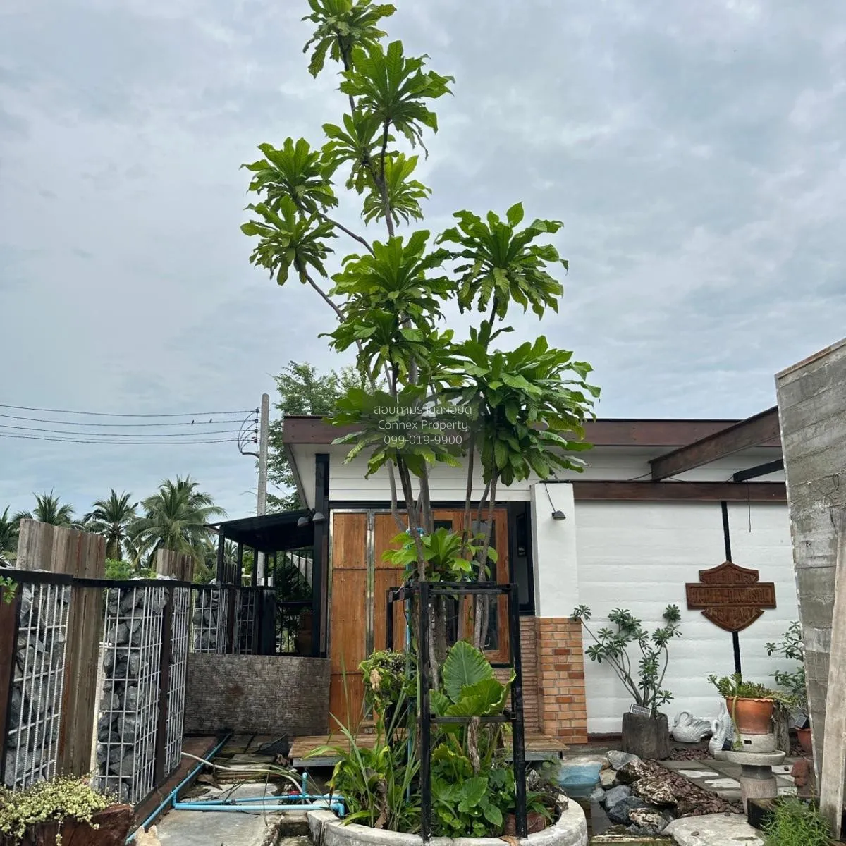 ขายที่ดินพร้อมสิ่งปลูกสร้าง บ้านเกาะ เมืองสมุทรสาคร สมุทรสาคร CX-