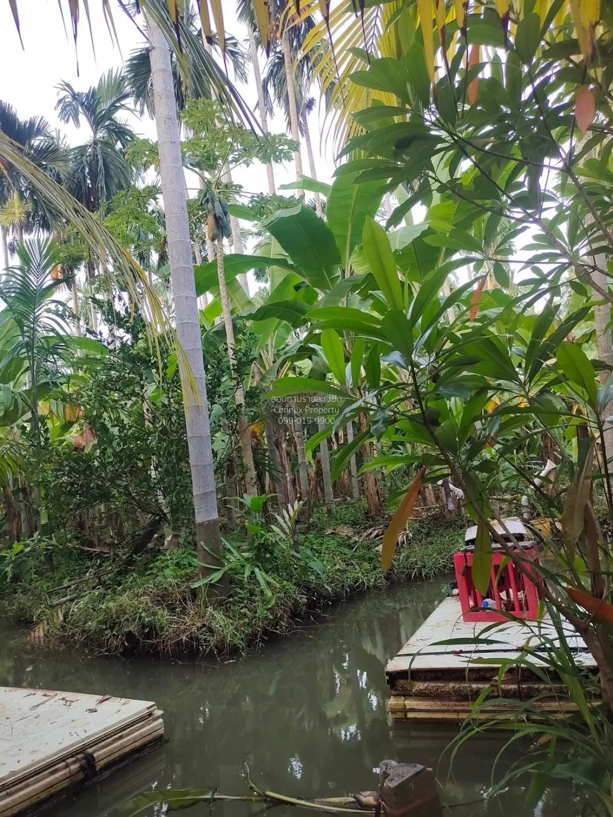 For Sale Vacant land on Rai Khing-Don Wai Road, near tourist attr 2