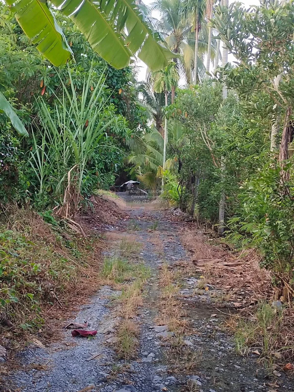 For Sale Vacant land on Rai Khing-Don Wai Road, near tourist attr 3