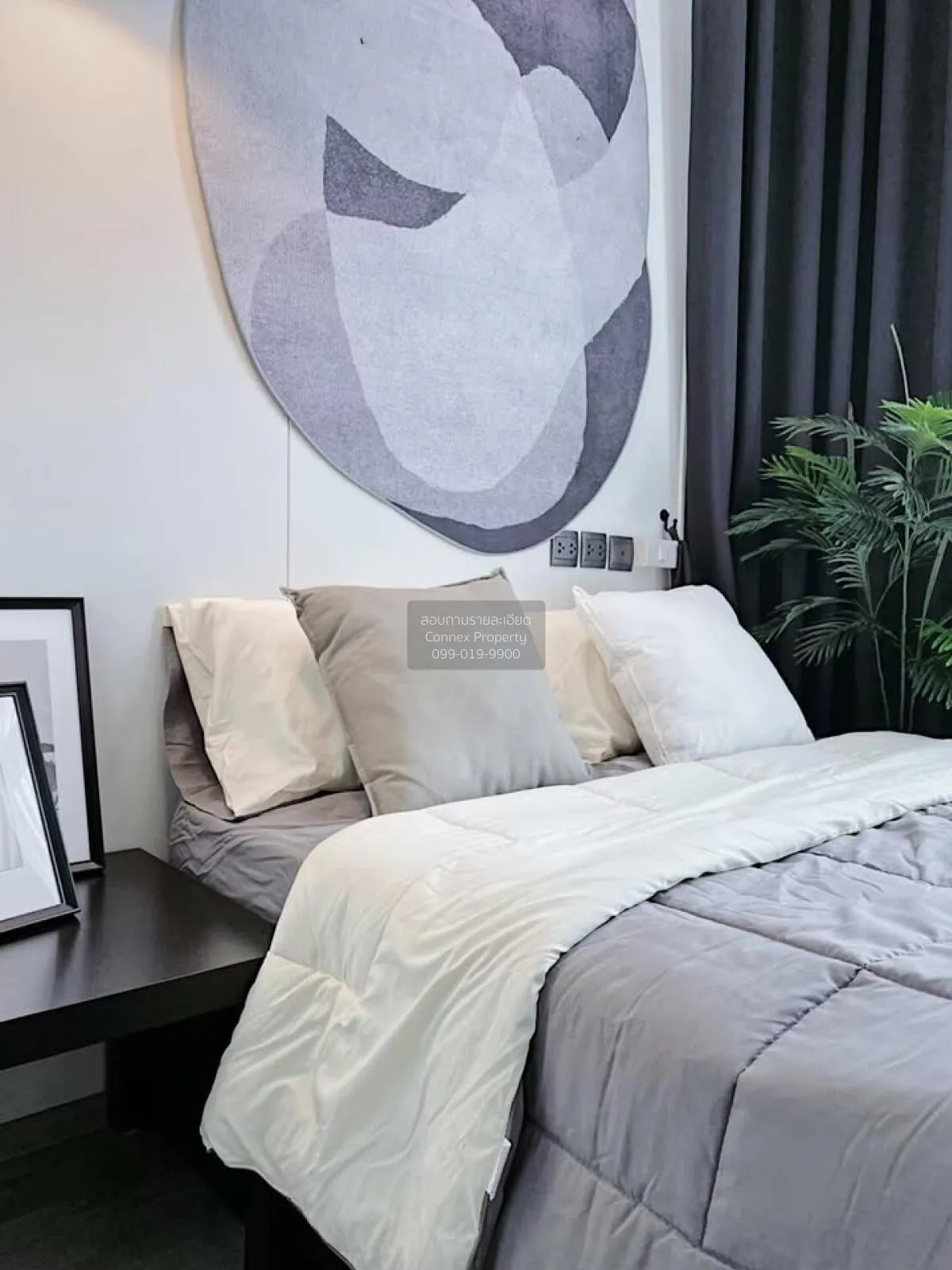 For Rent Condo , The line sukhumvit 101 , BTS-Punnawithi , Bang C