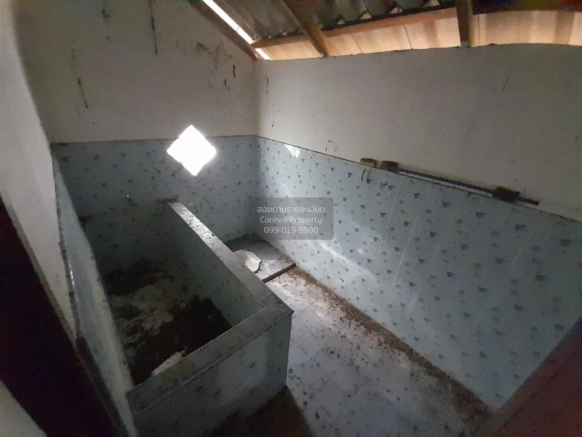 ขายบ้านเดี่ยว 1 ชั้น 3 อาคาร ขอนแก่น มัญจาคีรี กุดเค้า มัญจาคีรี 