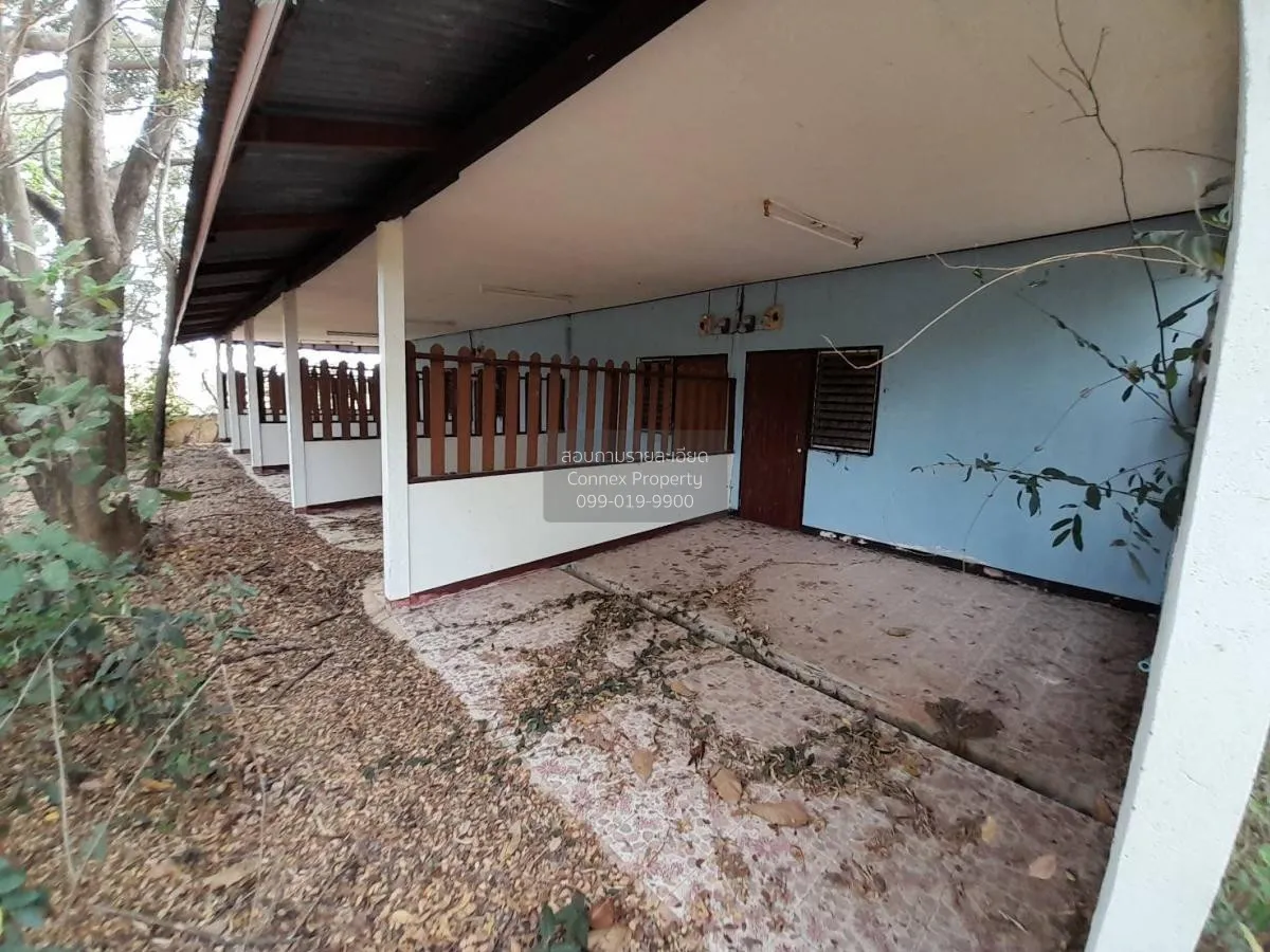 ขายบ้านเดี่ยว 1 ชั้น 3 อาคาร ขอนแก่น มัญจาคีรี กุดเค้า มัญจาคีรี 