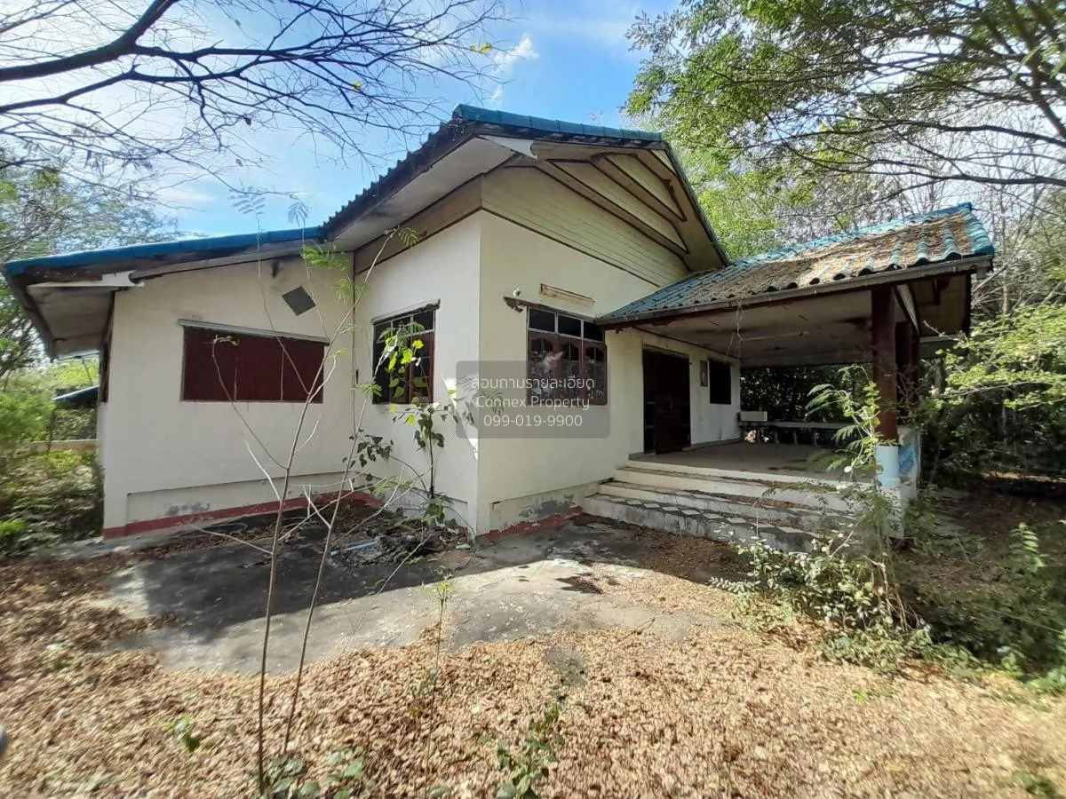 ขายบ้านเดี่ยว 1 ชั้น 3 อาคาร ขอนแก่น มัญจาคีรี กุดเค้า มัญจาคีรี  1