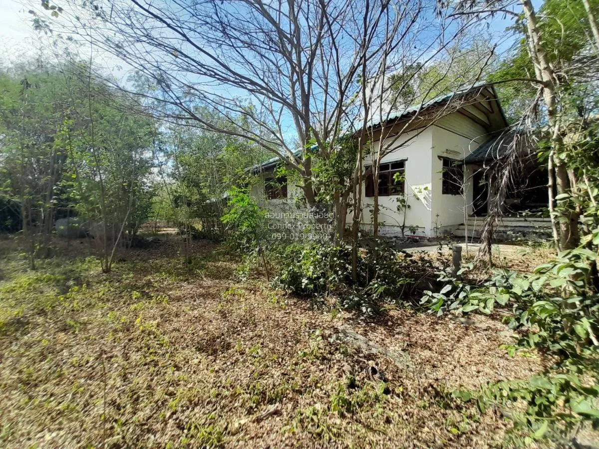 ขายบ้านเดี่ยว 1 ชั้น 3 อาคาร ขอนแก่น มัญจาคีรี กุดเค้า มัญจาคีรี  2