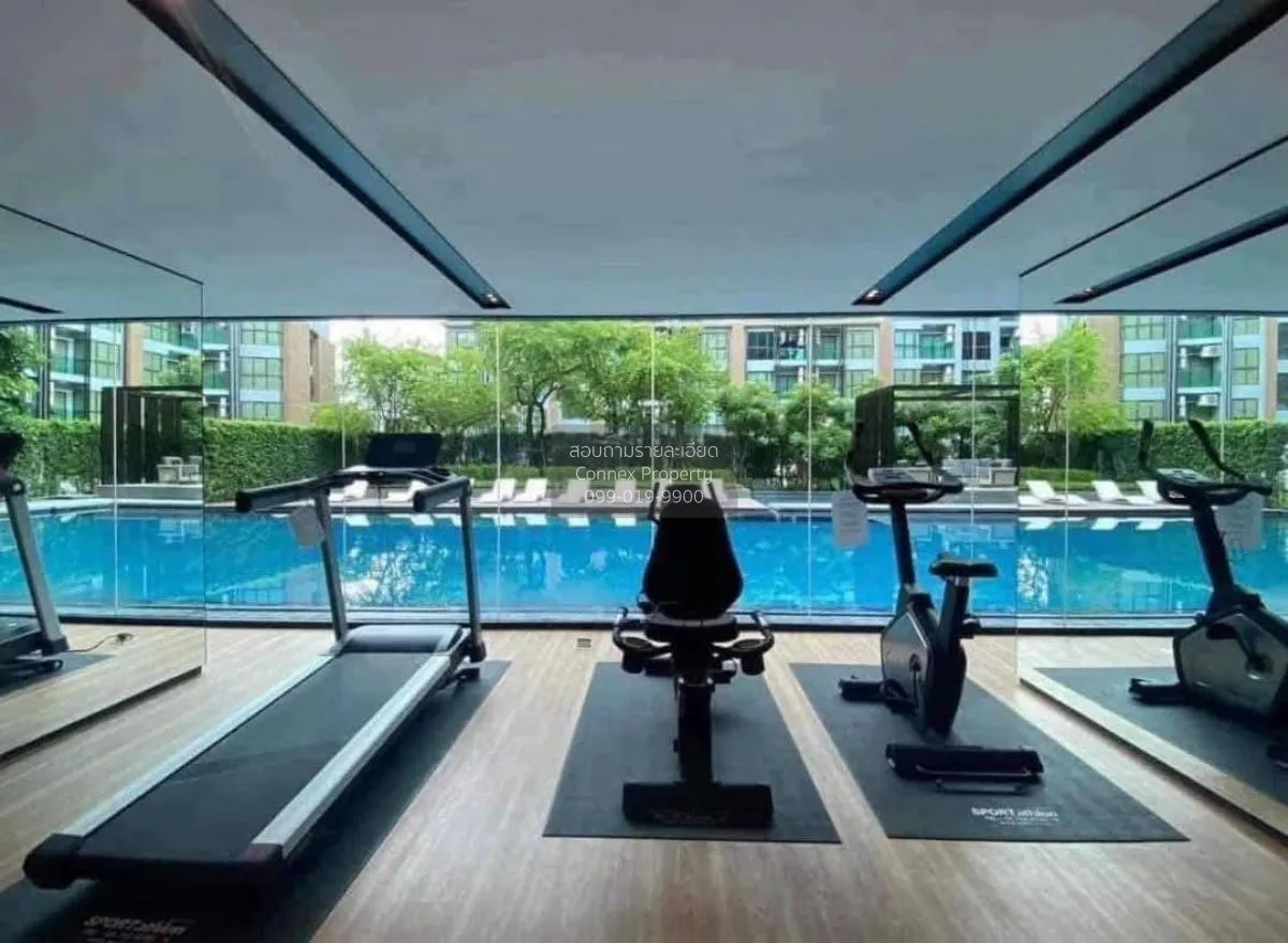 เช่าคอนโด  ดิ เอ็กซ์เซล ไฮด์ อะเวย์ สุขุมวิท 50 BTS-พระโขนง พระโข