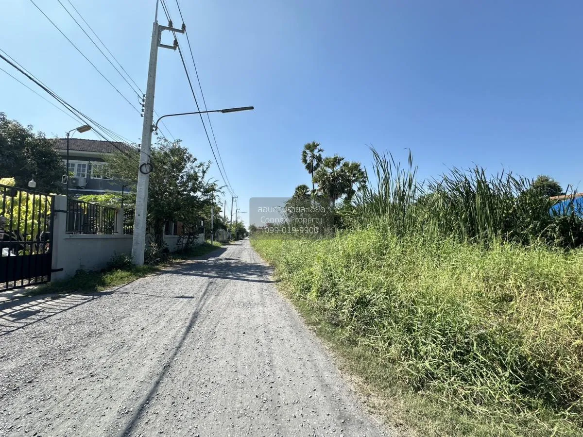 ขายที่ดินเปล่า บางขะแยง เมืองปทุมธานี ปทุมธานี CX-113791 3