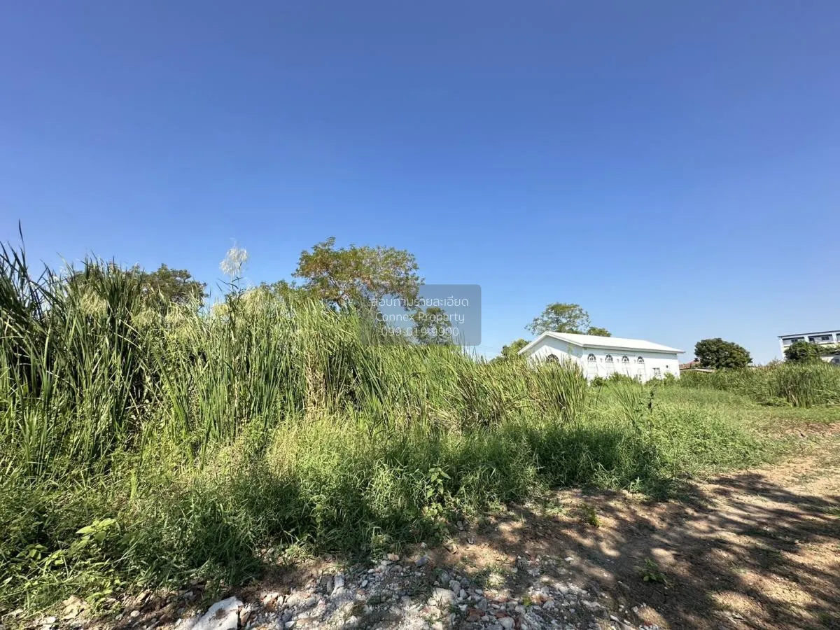 ขายที่ดินเปล่า บางขะแยง เมืองปทุมธานี ปทุมธานี CX-113803 2