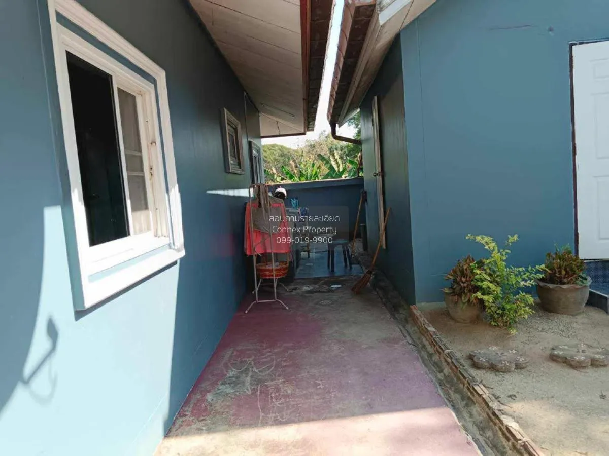 ขายขายบ้านเดี่ยว 1ชั้น หนองปลาไหล บางละมุง ชลบุรี CX-113860