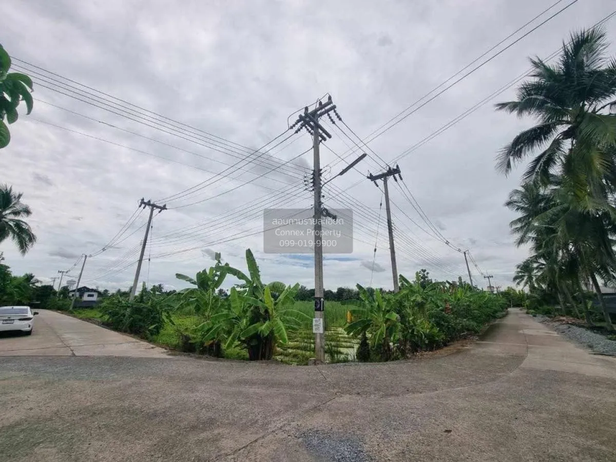 ขายขายที่ดินเปล่า สามพราน 10ไร่  สามพราน สามพราน นครปฐม CX-113878 3