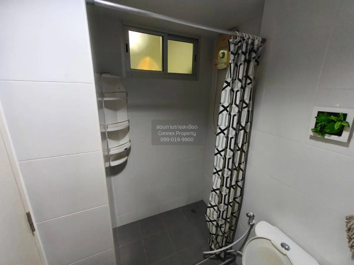 For Rent Condo , My Condo Sukhumvit 52 , BTS-On Nut , Bang Chak ,