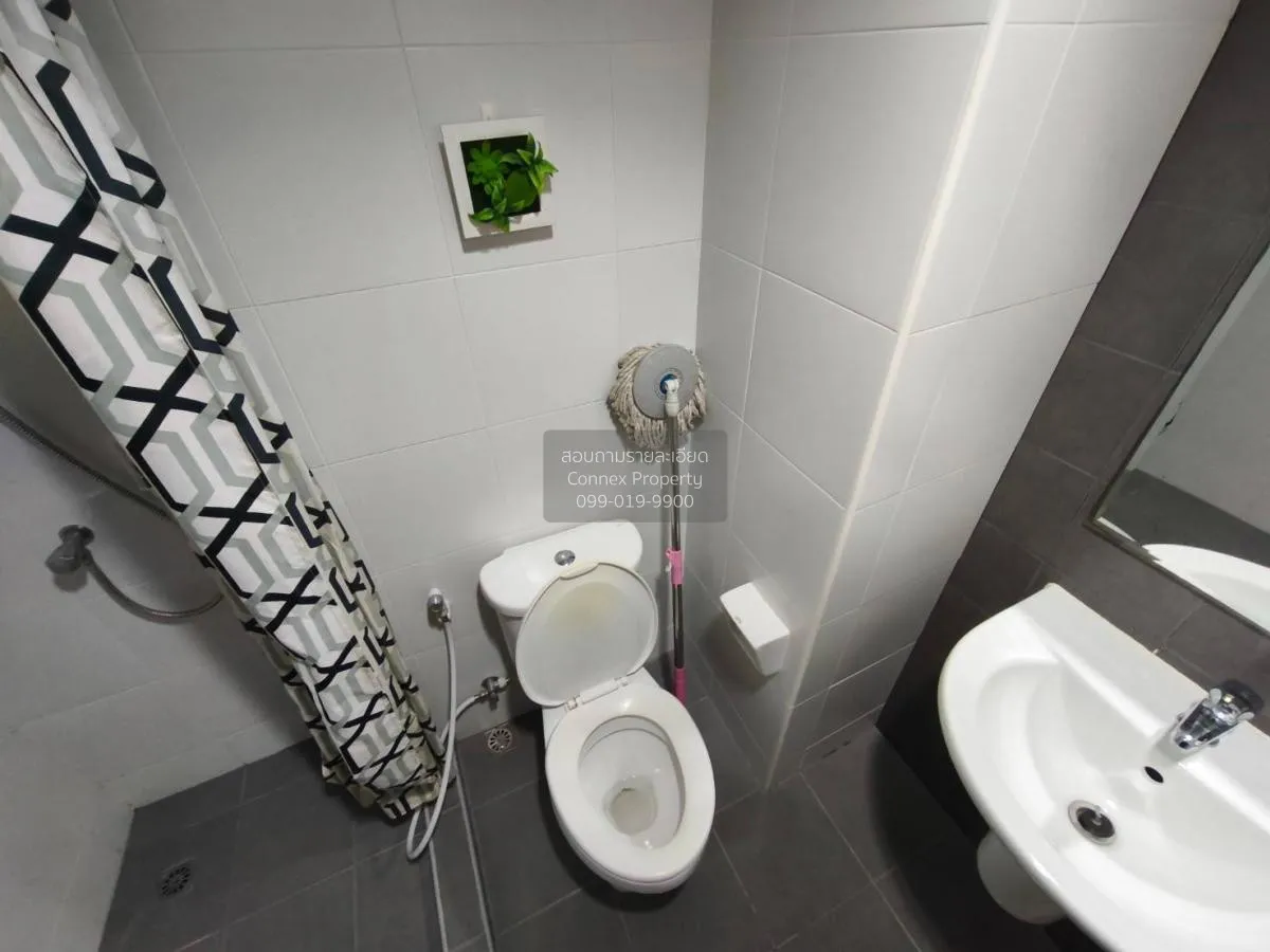 For Rent Condo , My Condo Sukhumvit 52 , BTS-On Nut , Bang Chak ,