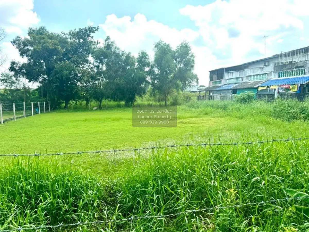 ขายที่ดินเปล่า  ฟีนิกซ์ปาร์ค คลองสอง คลองหลวง ปทุมธานี CX-114109 4