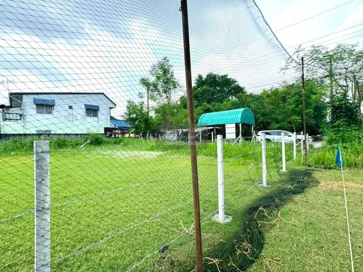 ขายที่ดินเปล่า  ฟีนิกซ์ปาร์ค คลองสอง คลองหลวง ปทุมธานี CX-114109