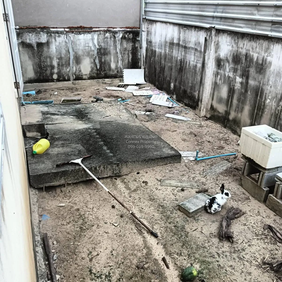 ขายบ้าน  ปัญญสิริย์ ลาดหลุมแก้ว ระแหง ลาดหลุมแก้ว ปทุมธานี CX-114