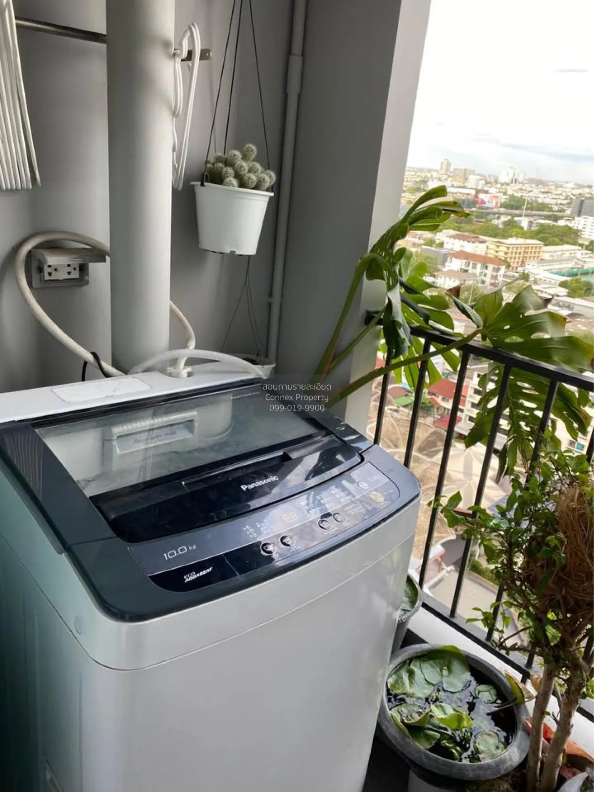 For Rent Condo , Plum Condo Ramkhamhaeng Station , ARL-Ramkhamhae