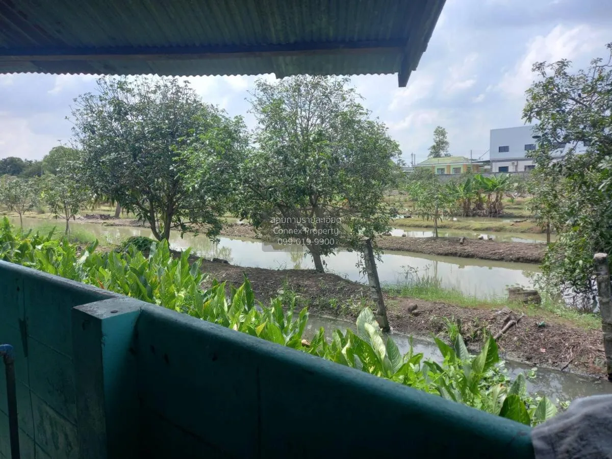 ขายทาวเฮ้าท์ถนนวัดไร่ขิง ท่าตลาด สามพราน นครปฐม CX-114475