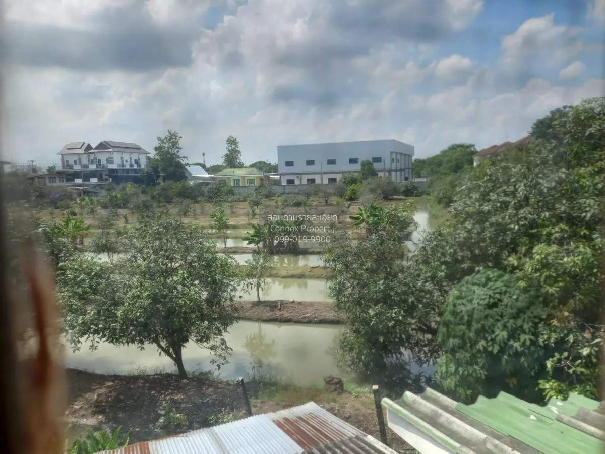 ขายทาวเฮ้าท์ถนนวัดไร่ขิง ท่าตลาด สามพราน นครปฐม CX-114475