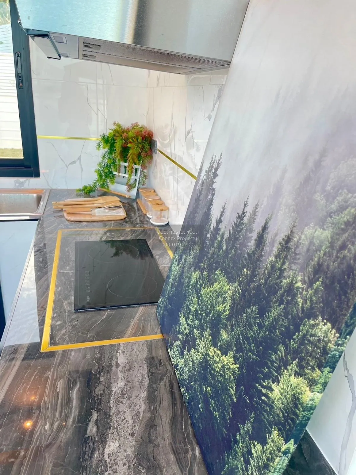 For Sale 2-storey detached house, Phu Nang Yong , Makham Khu , Ni