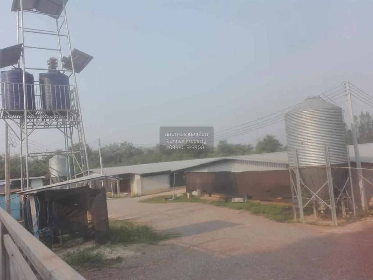 ขายขายฟาร์มไก่พันธ์เนื้อ ปงยางคก ห้างฉัตร ลำปาง CX-114928 3