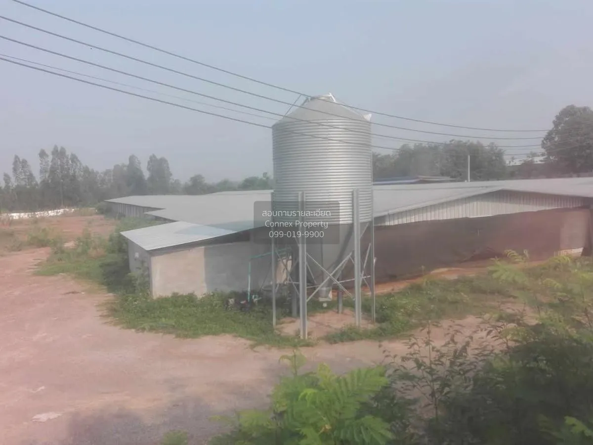 ขายขายฟาร์มไก่พันธ์เนื้อ ปงยางคก ห้างฉัตร ลำปาง CX-114928 4