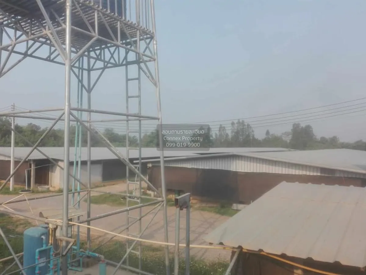 ขายขายฟาร์มไก่พันธ์เนื้อ ปงยางคก ห้างฉัตร ลำปาง CX-114928