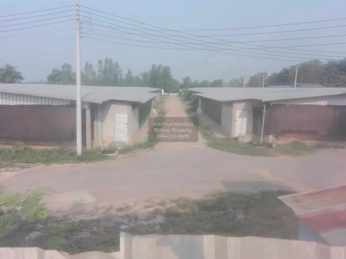 ขายขายฟาร์มไก่พันธ์เนื้อ ปงยางคก ห้างฉัตร ลำปาง CX-114928