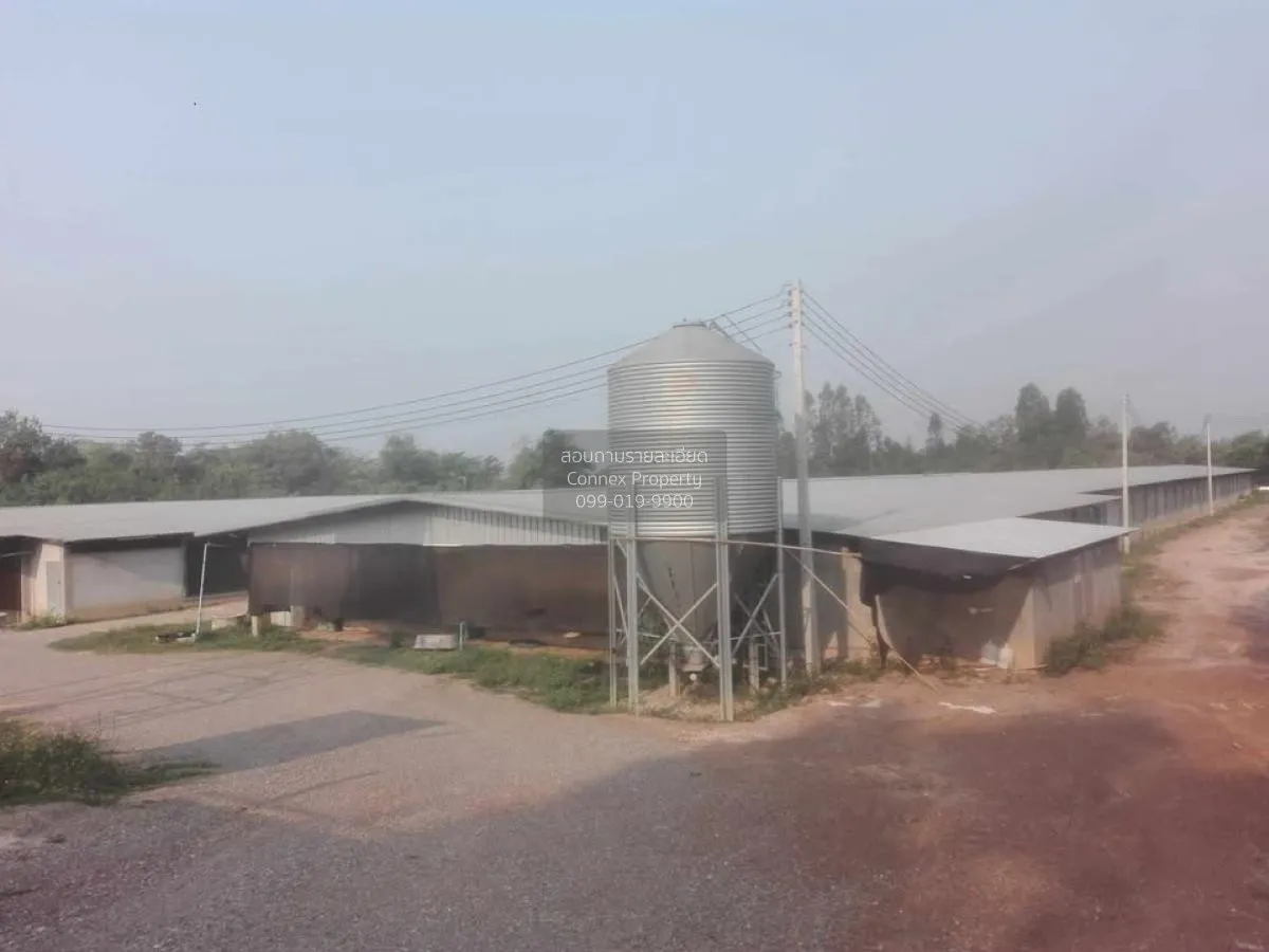 ขายขายฟาร์มไก่พันธ์เนื้อ ปงยางคก ห้างฉัตร ลำปาง CX-114928