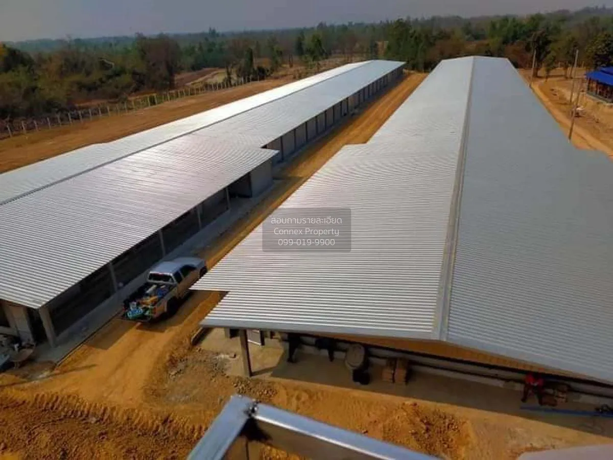 ขายขายฟาร์มไก่พันธ์เนื้อ ปงยางคก ห้างฉัตร ลำปาง CX-114928