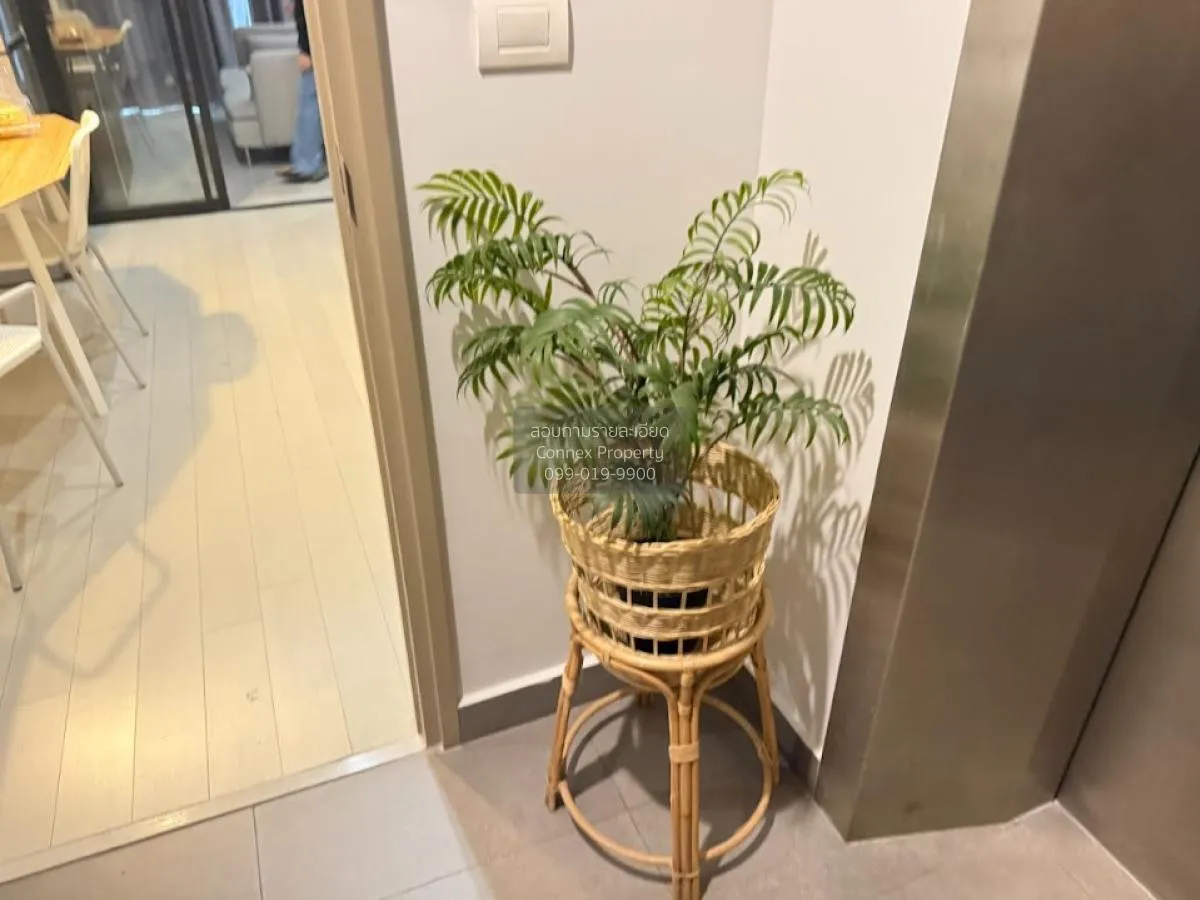 เช่าคอนโด  โนเบิล เพลินจิต BTS-เพลินจิต ลุมพินี เขต ปทุมวัน กรุงเ